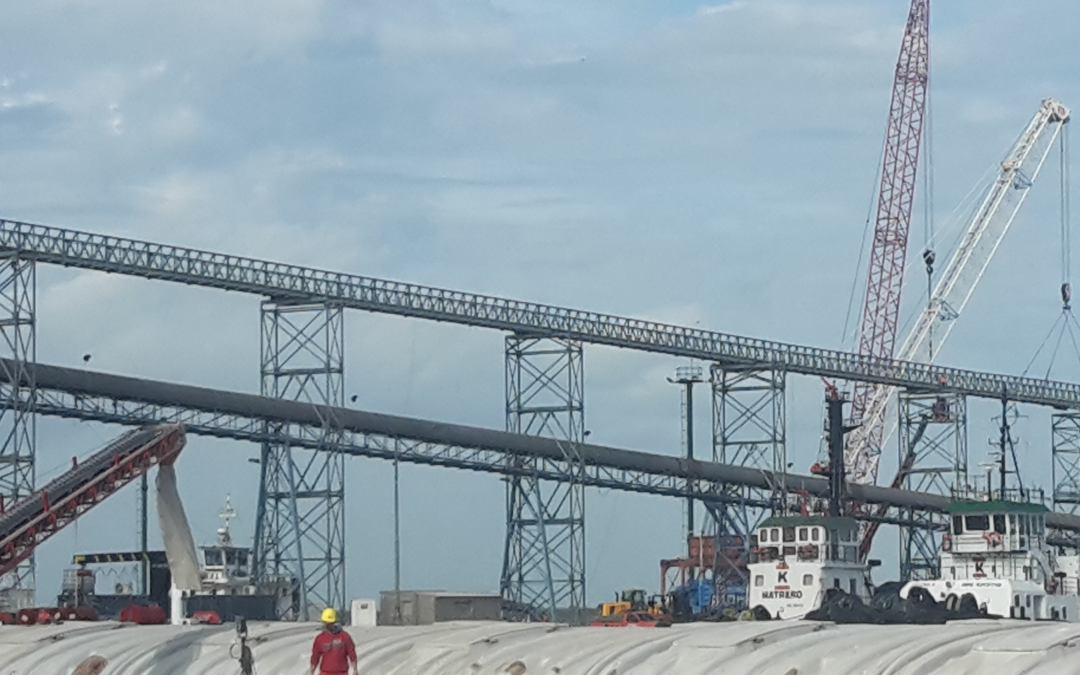 Expansión del puerto – TGU